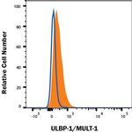 ULBP1 Monoclonal Antibody (237104)