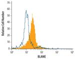 SLAMF8 Monoclonal Antibody (250014)