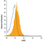 LAIR2 Monoclonal Antibody (319701)