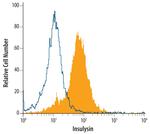 IDE Antibody in Flow Cytometry (Flow)