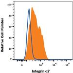 ITGA7 Monoclonal Antibody (334908)
