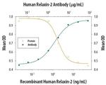 Relaxin 2 Antibody