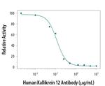Kallikrein 12 Antibody in Neutralization (Neu)