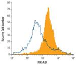 PIR-A/PIR-B Monoclonal Antibody (404127)