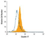 Claudin 17 Monoclonal Antibody (410509)