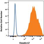 Claudin 17 Antibody in Flow Cytometry (Flow)