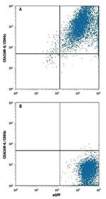 CEACAM6 Antibody in Flow Cytometry (Flow)