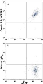 Orexin Receptor 2 Antibody in Flow Cytometry (Flow)