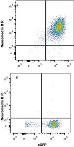NMBR Antibody in Flow Cytometry (Flow)
