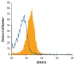 alpha-1b Adrenergic Receptor Monoclonal Antibody (471802)