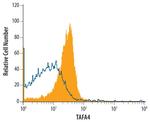 TAFA4 Monoclonal Antibody (480103)
