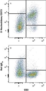 CD73 Monoclonal Antibody (496406)