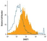 GP340 Monoclonal Antibody (548031)