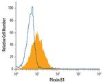 PLXNB1 Monoclonal Antibody (559830)