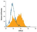 GPRC5C Monoclonal Antibody (577315)