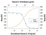 IL-34 Monoclonal Antibody (578416)