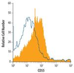 CD55 Antibody in Flow Cytometry (Flow)