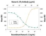 IL2RG Antibody in Neutralization (Neu)
