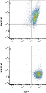 SLC22A2 Antibody in Flow Cytometry (Flow)