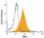 ERMAP Monoclonal Antibody (767505)
