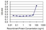 ETV3 Monoclonal Antibody (1C11)