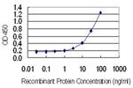 GAGE1 Antibody in ELISA (ELISA)
