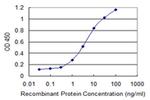 SPRR2F Antibody in ELISA (ELISA)
