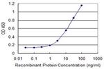 TCP11 Antibody in ELISA (ELISA)
