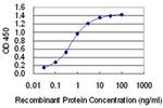 TOPBP1 Antibody in ELISA (ELISA)