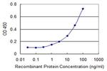 HHLA3 Antibody in ELISA (ELISA)