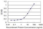 SUSD5 Monoclonal Antibody (4G3)
