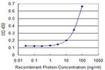 SNX24 Antibody in ELISA (ELISA)