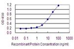 RANGRF Antibody in ELISA (ELISA)