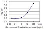 SNX8 Antibody in ELISA (ELISA)