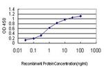 RNF220 Antibody in ELISA (ELISA)