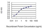 SAGE1 Antibody in ELISA (ELISA)