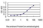 MS4A12 Antibody in ELISA (ELISA)