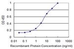 DMRTB1 Antibody in ELISA (ELISA)