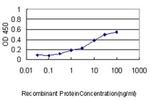 SCNM1 Antibody in ELISA (ELISA)