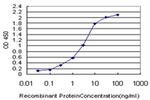 PLEKHO2 Antibody in ELISA (ELISA)
