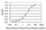 PMFBP1 Antibody in ELISA (ELISA)