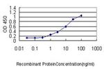 SNX25 Antibody in ELISA (ELISA)