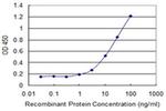 CCDC115 Antibody in ELISA (ELISA)