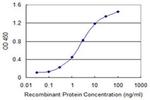 CHURC1 Antibody in ELISA (ELISA)
