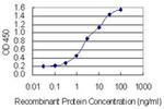 SYCE1 Antibody in ELISA (ELISA)