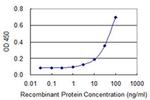 ACRC Monoclonal Antibody (2E4)