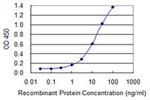 hCG beta-7 Antibody in ELISA (ELISA)