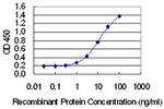 FAM122A Antibody in ELISA (ELISA)