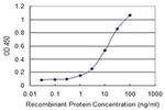 EFHC1 Antibody in ELISA (ELISA)