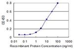 FBXO36 Antibody in ELISA (ELISA)